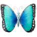 Butterfly Glass Wall Art - Blue